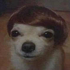 YarnYola55845's profile picture. 🎨🌟🌐
Artist, Dreamer, Creator.
Crafting stories in pixels and code,
one frame at a time 🖼️🖌️🖇️