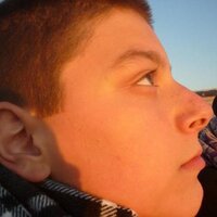 Sebastiano Volpe (@foxseba) 's Twitter Profile