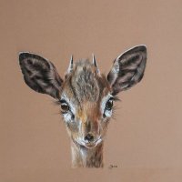 ππ°. (@nwrnwr196642) 's Twitter Profile