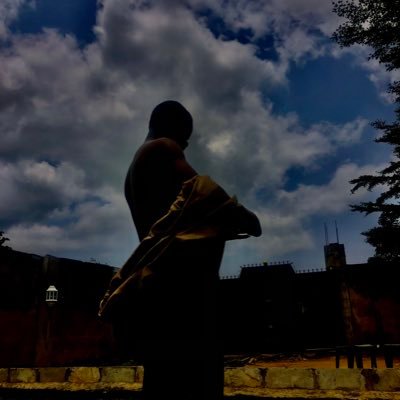 the_danbel's profile picture. 