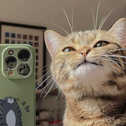 Piinaing95451's profile picture. 