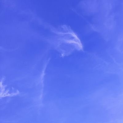 AwayWithYerAll's profile picture. White, middle aged, born in England with an English name, to two immigrants he came here in 1963. Never suffered racism. Funny that.