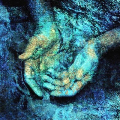 meiphan's profile picture. 海と森の近くでその日暮らし。