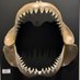 Species (@species18591124) Twitter profile photo