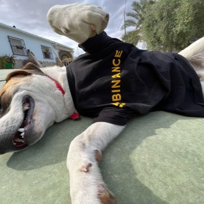 EndysonK749's profile picture. 