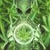 ҉̠̬̟̹̯̩̤̼̦̰̞̫͈̥̱̞ (@asssquirter) Twitter profile photo ҉̠̬̟̹̯̩̤̼̦̰̞̫͈̥̱̞ (@asssquirter) Twitter profile photo