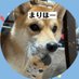 シ バ 🐕🐾 (@4839metoro06) Twitter profile photo シ バ 🐕🐾 (@4839metoro06) Twitter profile photo