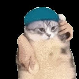 kiro4184's profile picture. 