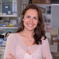 Eva Lopez Truco (@evalopeztruco) 's Twitter Profile