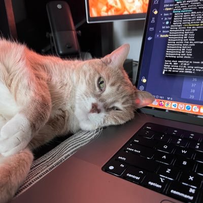 miiightymitch's profile picture. working on Frontend observability tools 🌱