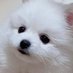 lil (@llil0802) Twitter profile photo lil (@llil0802) Twitter profile photo