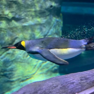 whatdidWcook's profile picture. 