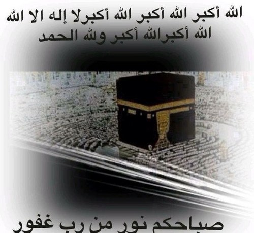 mkfwa's profile picture. 