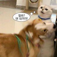 핫듀 (@william_b_cage) 's Twitter Profile Photo 핫듀 (@william_b_cage) 's Twitter Profile Photo