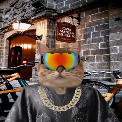 shanbd23's profile picture. 2024/2025, Camy