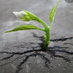 Ahmet YARDIMCI (@ahmetyardi29605) Twitter profile photo Ahmet YARDIMCI (@ahmetyardi29605) Twitter profile photo