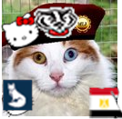 Building the Persian Cat Empire, one cat at a time. Also proud member of #wlf  and #TeamHelloKitty