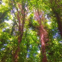 D (@derbeian) 's Twitter Profile Photo