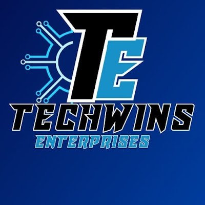 TechWinsE's profile picture. 