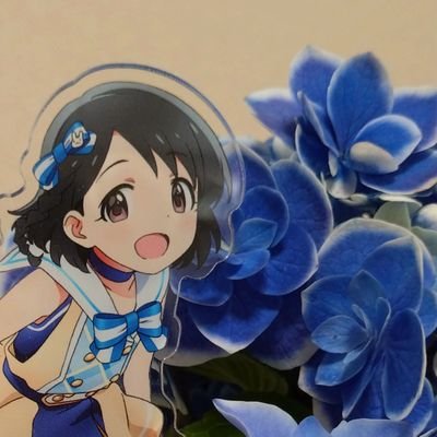 めがびーさんのプロフィール画像