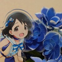 めがびー (@megabee_e) 's Twitter Profile Photo