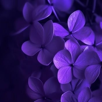 IshaReddy08's profile picture. MBA, (LL.B.)