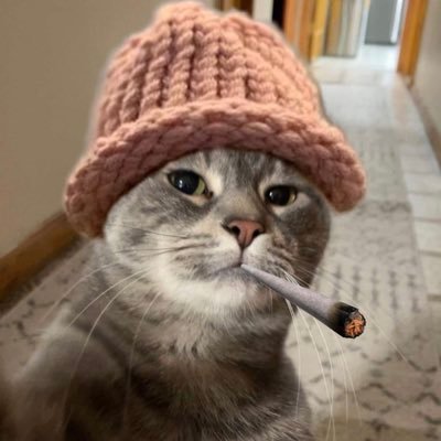 hayes_vane7271's profile picture. Your boarding pass to the Web3 universe 🚀