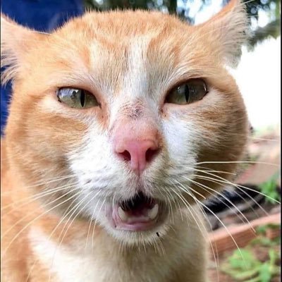 jemaritica's profile picture. ✩♬ ₊˚.🎧⋆☾⋆⁺₊✧