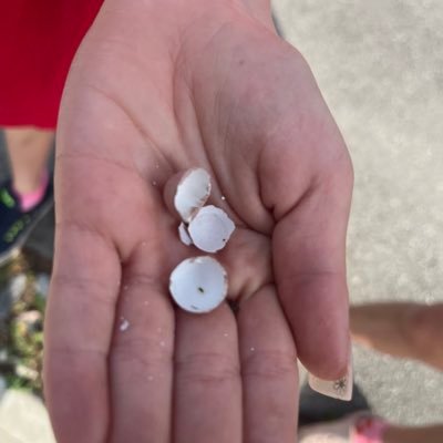 DavidMartinFoto's profile picture. 