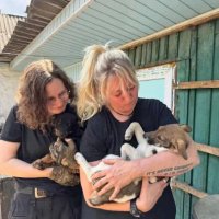 SHELTER ANIMALS OF KHERSON (@kherson_animal_) 's Twitter Profile Photo SHELTER ANIMALS OF KHERSON (@kherson_animal_) 's Twitter Profile Photo