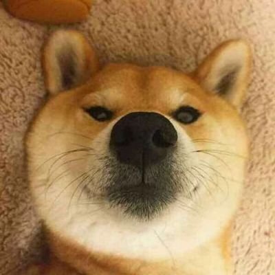 How1010189's profile picture. 