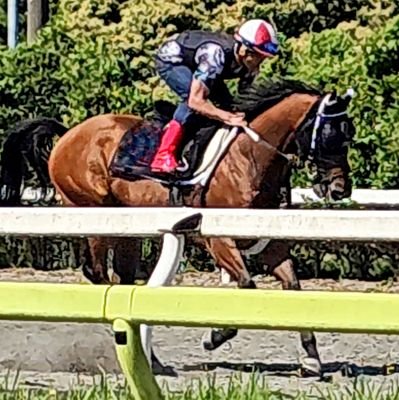🏇さんのプロフィール画像