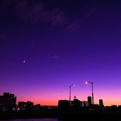 da2_pyo's profile picture. 🛼