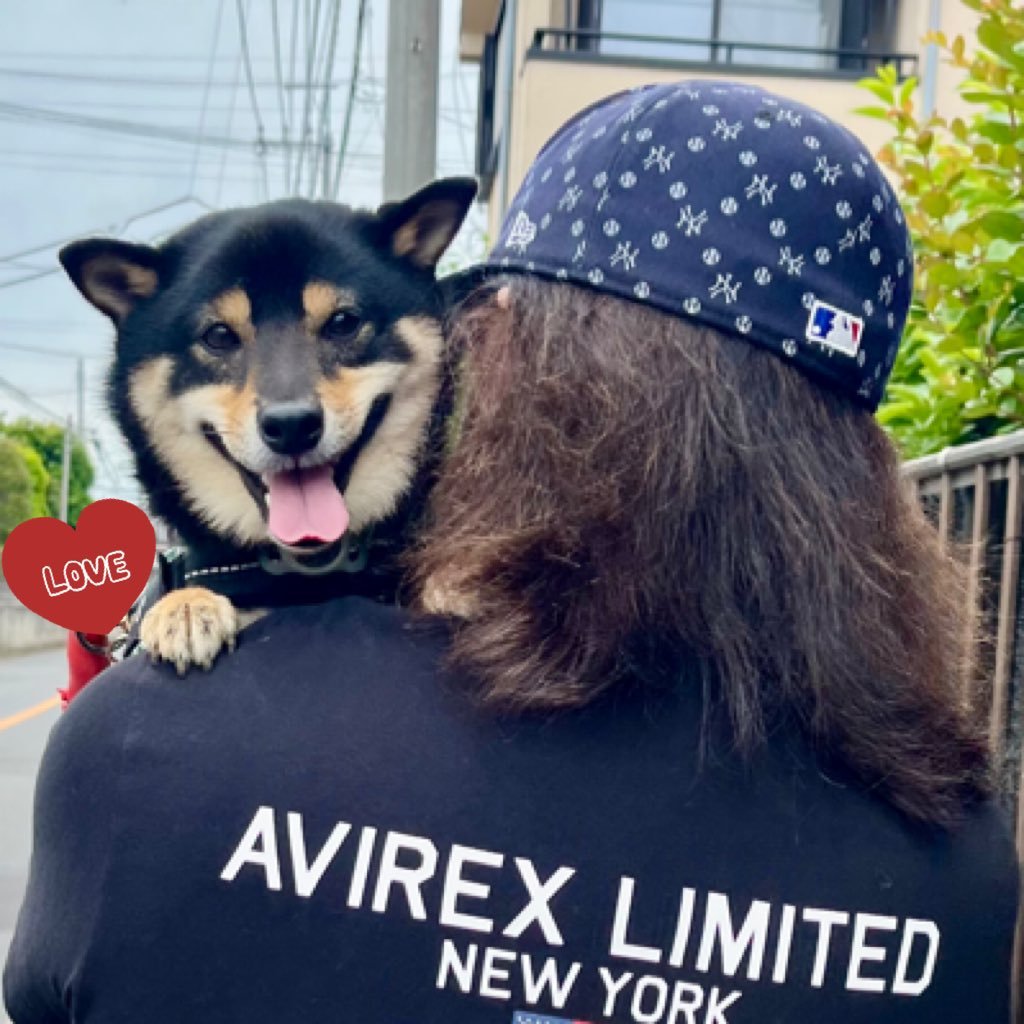 kuromame0904's profile picture. 黒豆♂(2022/09/04生まれ→12/14〜我が家、通称・マーメー)と俺♂(チャラいサラリーマン、通称・チャラリーマン)座右の銘は『やるべき事やって、したい事をする』そんな犬生&人生を楽しむ黒豆と俺の日常アカウントでございます✨何卒よろしくお願いしますくそがしばくぞ👨　ワン🐕‍🦺