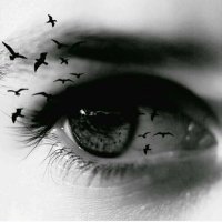 مشــ,ٰـا؏ــ,ٰـر💛 (@ma_6__) 's Twitter Profile Photo