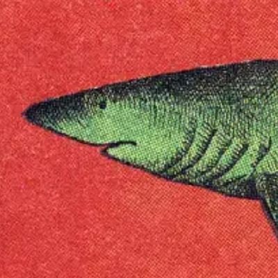 Catgeckoさんのプロフィール画像