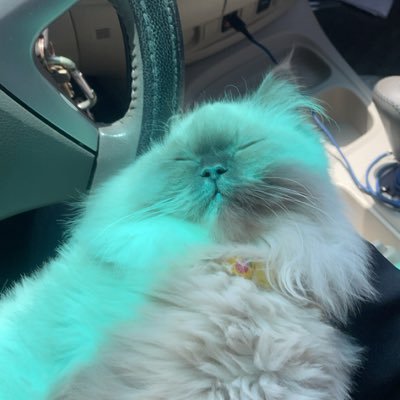 reazma's profile picture. 