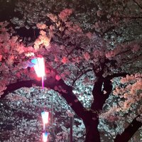 ソラリン (@sorarin1000) 's Twitter Profile