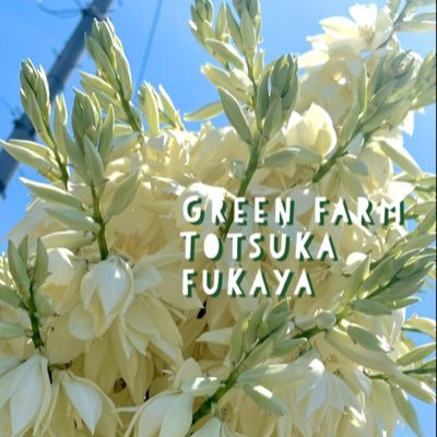 💐グリーンファーム戸塚深谷店【公式】
