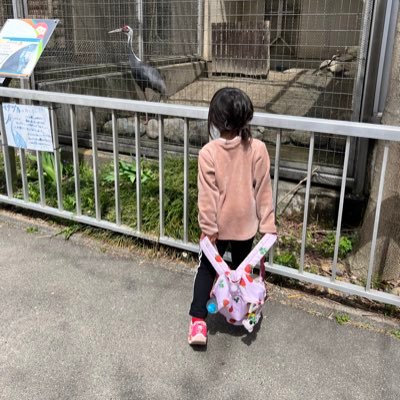 ここにかいてあることは、個人の感想です。