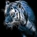 Anis S (@aniss775) Twitter profile photo Anis S (@aniss775) Twitter profile photo