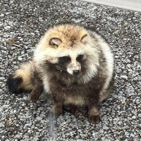 たき (@8iiblkbbs372) Twitter profile photo