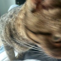 hola. (@cc352745643141) 's Twitter Profile Photo hola. (@cc352745643141) 's Twitter Profile Photo