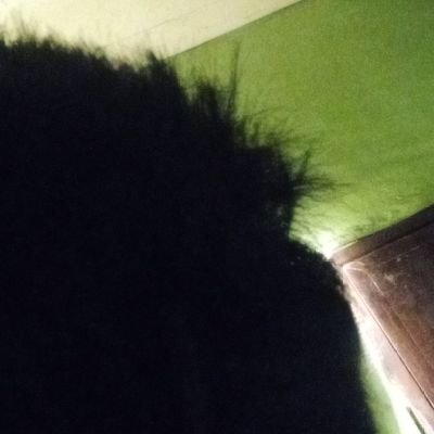 alx_comet's profile picture. music ° vball ° opinions