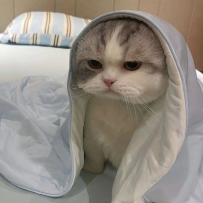 me_sovon Profile Picture