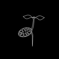 Plant Energy Biology Lab (@schwarzland_lab) 's Twitter Profile Photo Plant Energy Biology Lab (@schwarzland_lab) 's Twitter Profile Photo