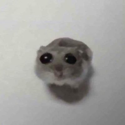 38gnip's profile picture. Add a bio to your profile