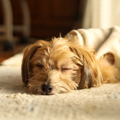 ryusei_mr's profile picture. 