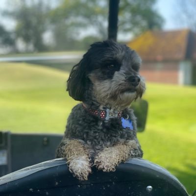 Course Manager Stover Golf Club, loves travelling