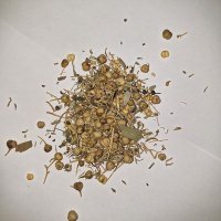 الشيخة الروحانية ام يعقوب (@nnyafl33954) 's Twitter Profile